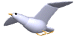 bird-03