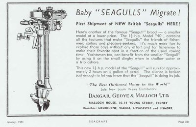 baby british seagulls.jpg