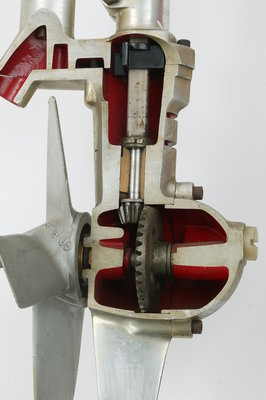 Seagull cutaway.jpg