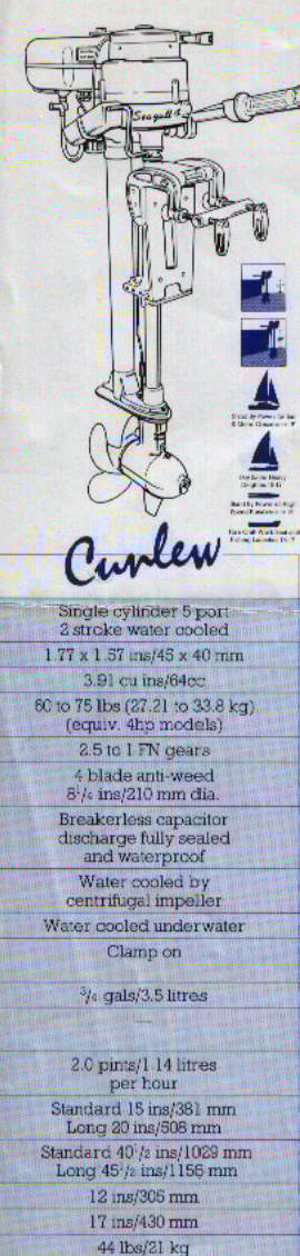 curlew1