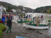 cornish British Seagull race small