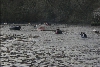 lerryn_mg_5426
