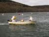 race British Seagull032 small