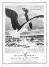 British Seagull advert 0016 small