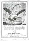 British Seagull advertb0015 small