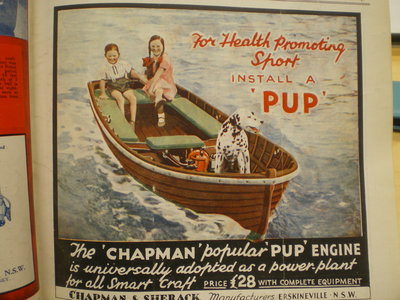 Chapman Pup June 35.JPG