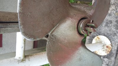 20170417_092142.jpg