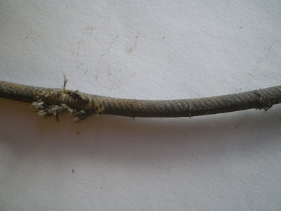sd cable.JPG
