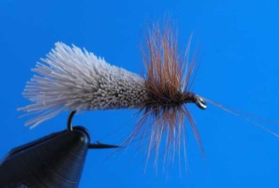 Goddard-Caddis.jpg